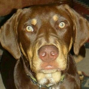 Meet your Posher, Sharon